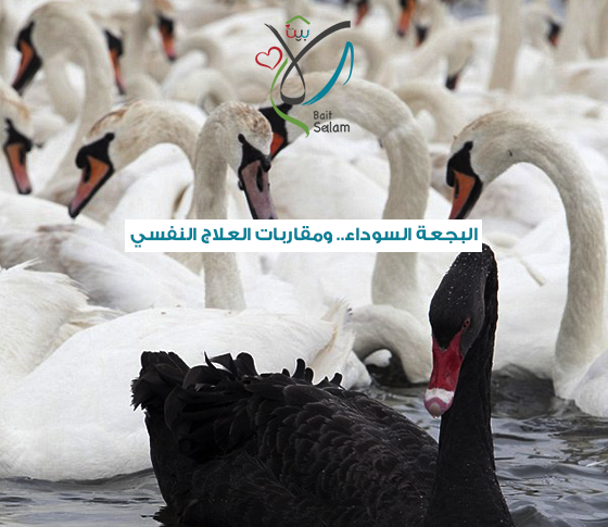 البجعة السوداء ومقاربات العلاج النفسي